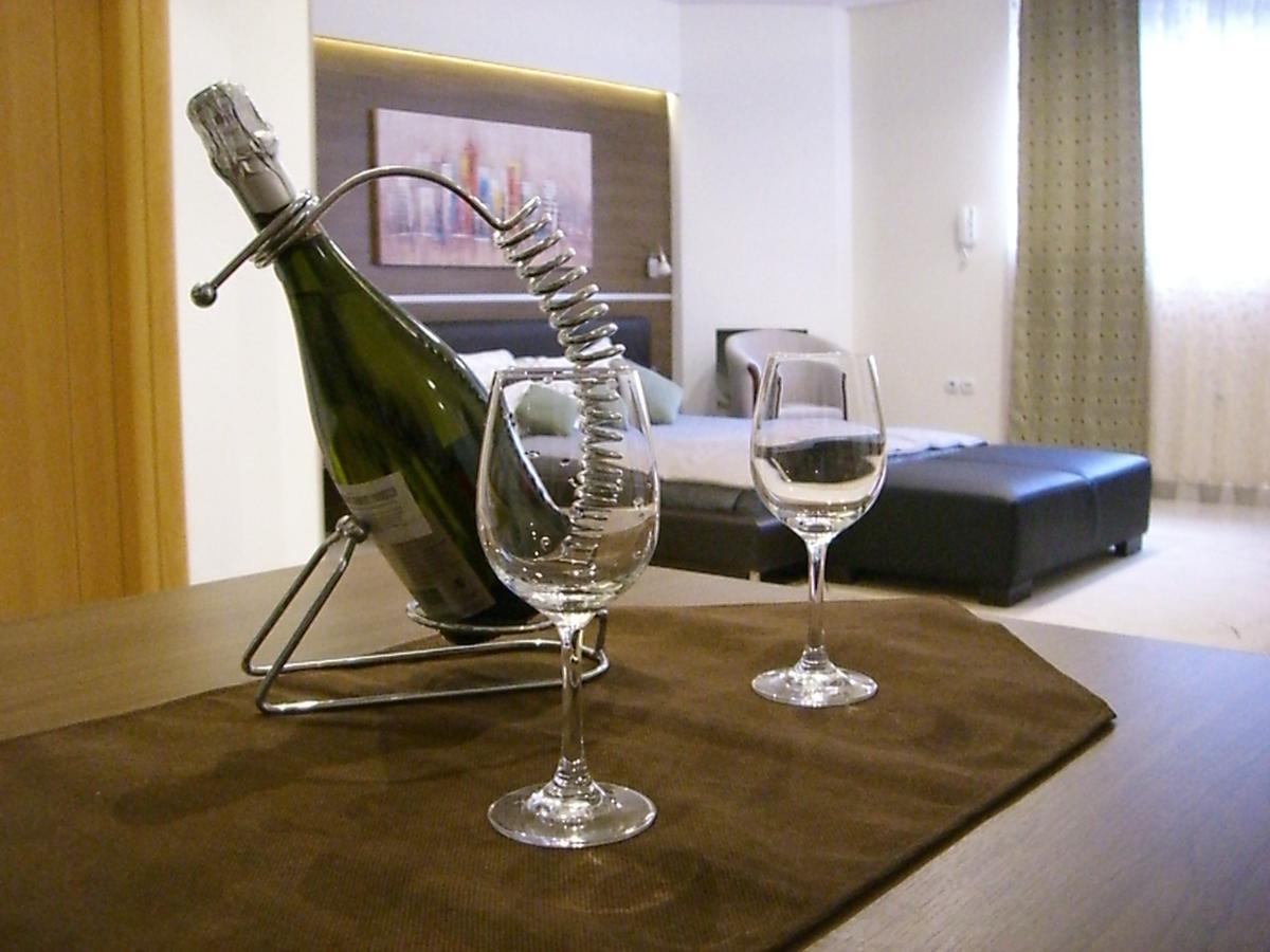 Appartement Centar Lux Vrsac Extérieur photo