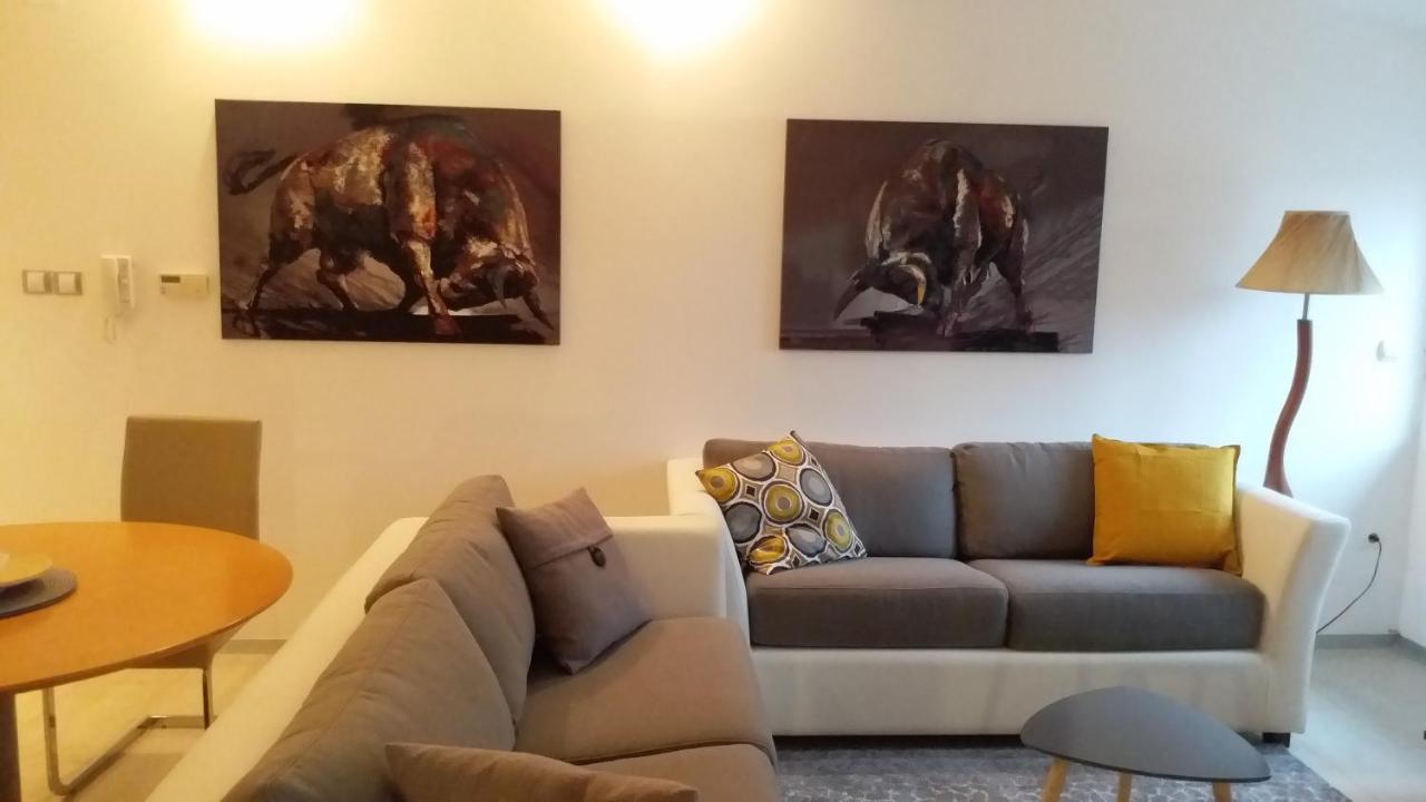 Appartement Centar Lux Vrsac Extérieur photo