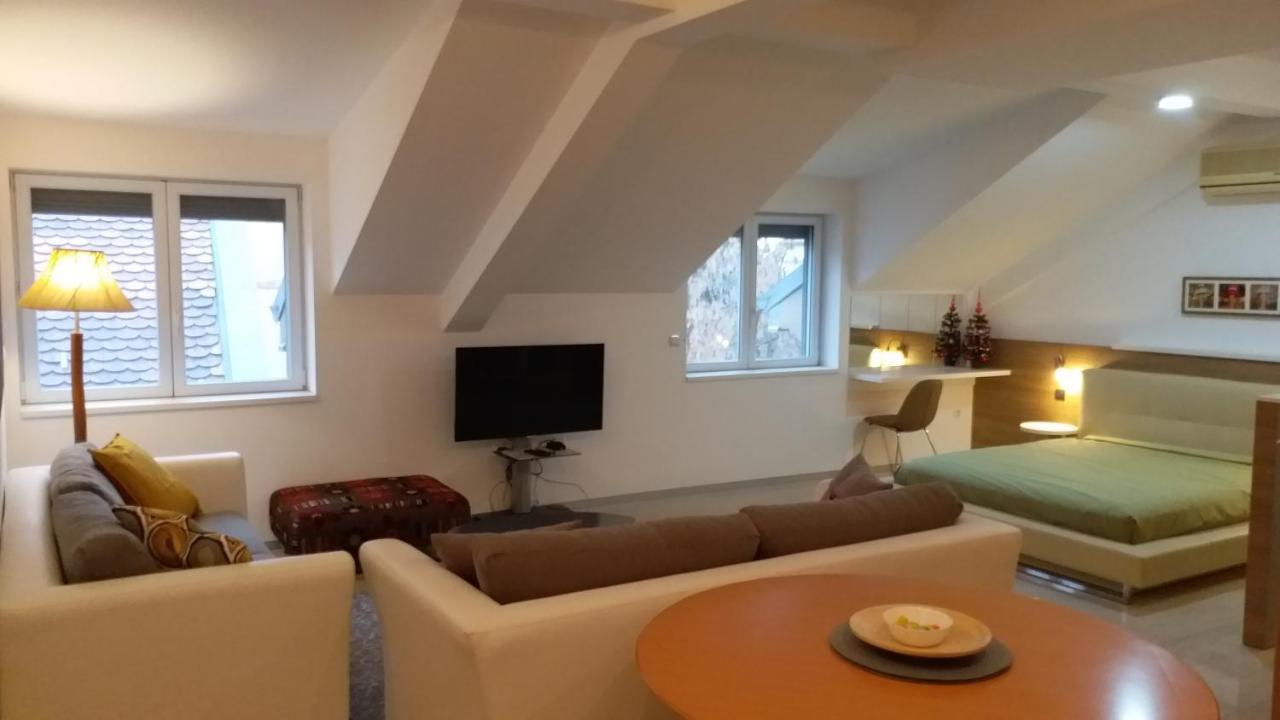 Appartement Centar Lux Vrsac Extérieur photo