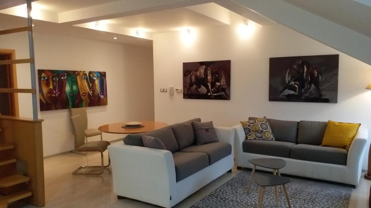 Appartement Centar Lux Vrsac Extérieur photo