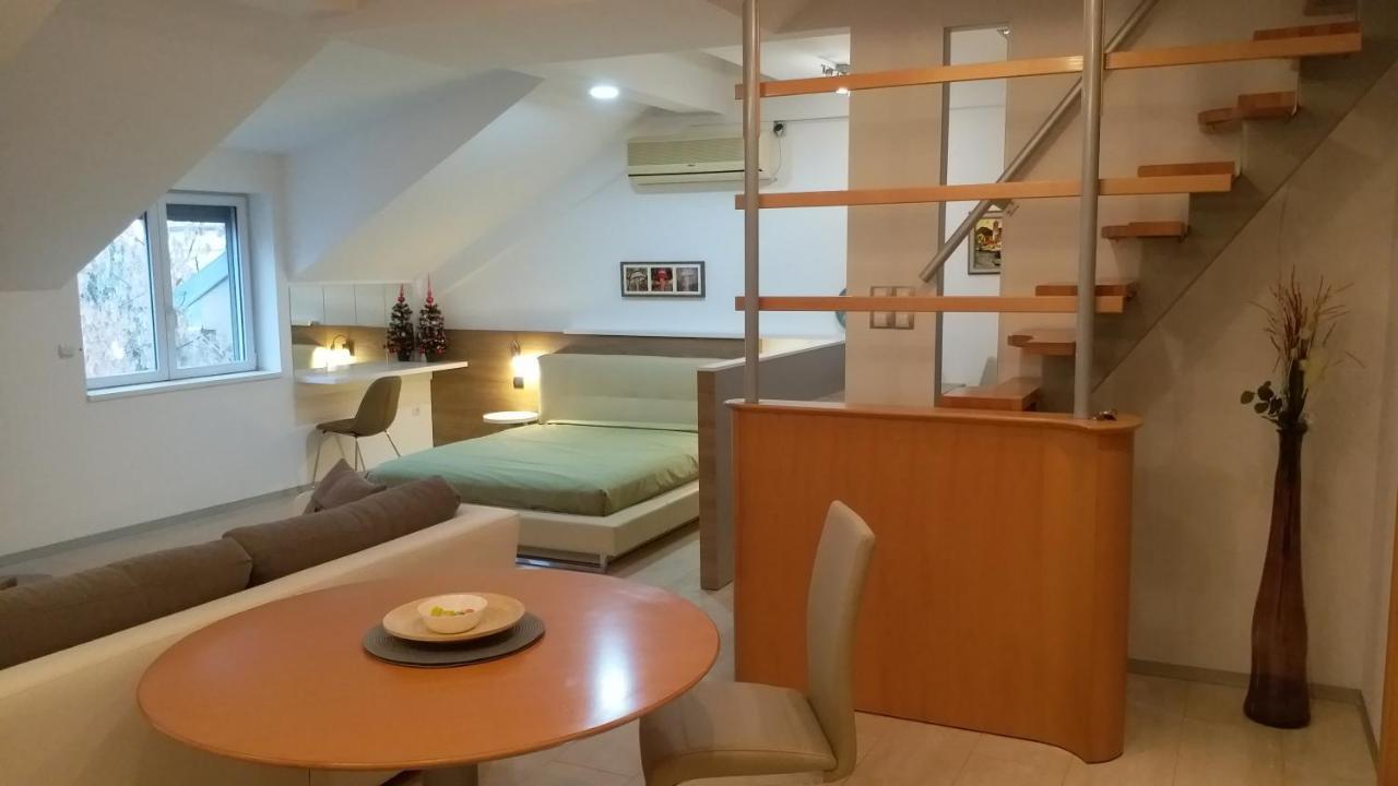 Appartement Centar Lux Vrsac Extérieur photo