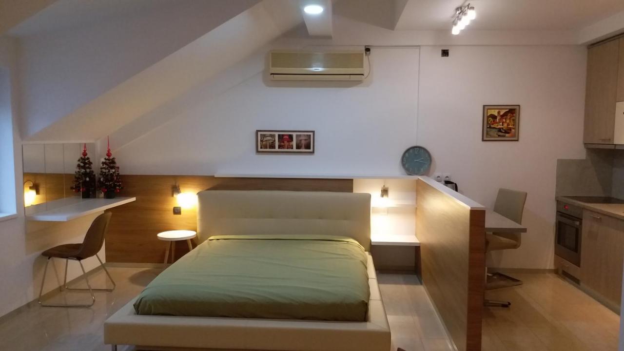 Appartement Centar Lux Vrsac Extérieur photo