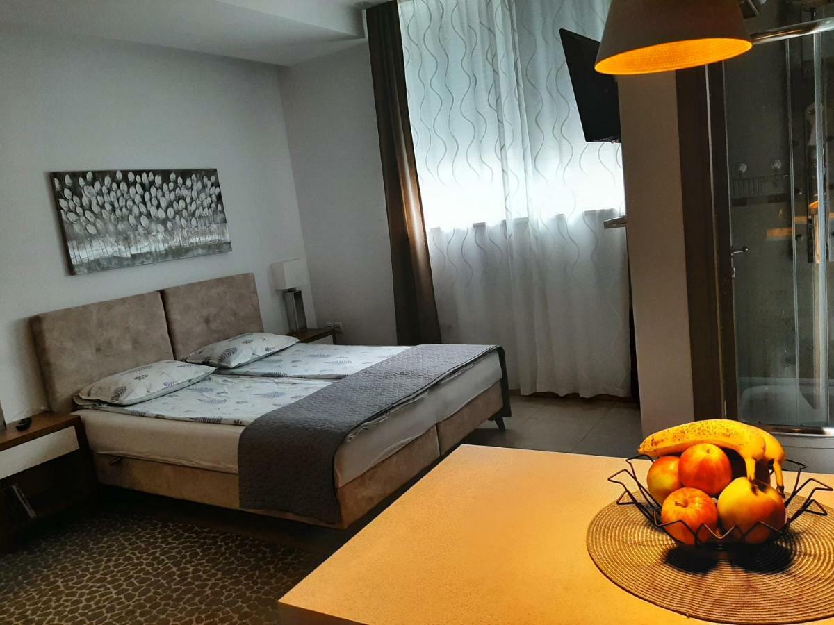 Appartement Centar Lux Vrsac Extérieur photo